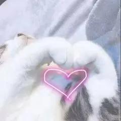 懒癌必备超好用睡眠面膜盘点,重度懒癌