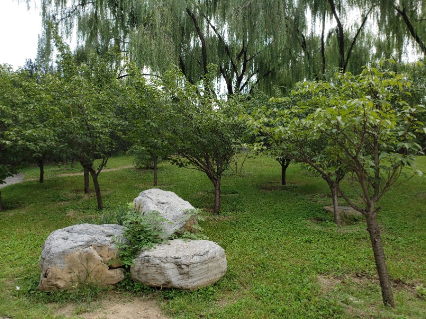 北京适合带娃遛狗的公园推荐,北京适合带娃溜达的公园