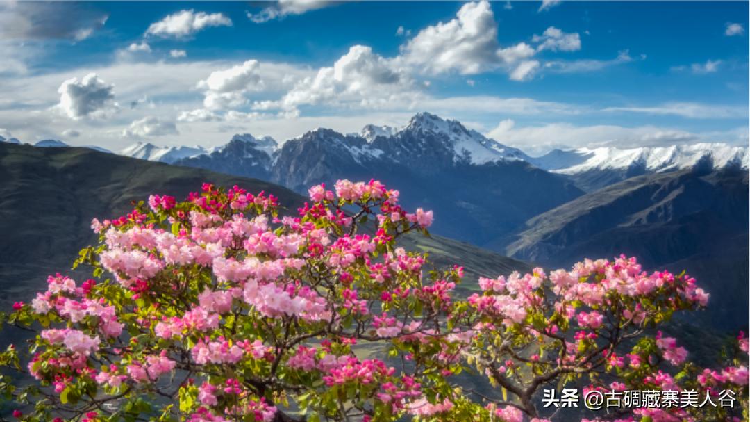 养在深闺的天然氧吧,养在深闺人未识的景区