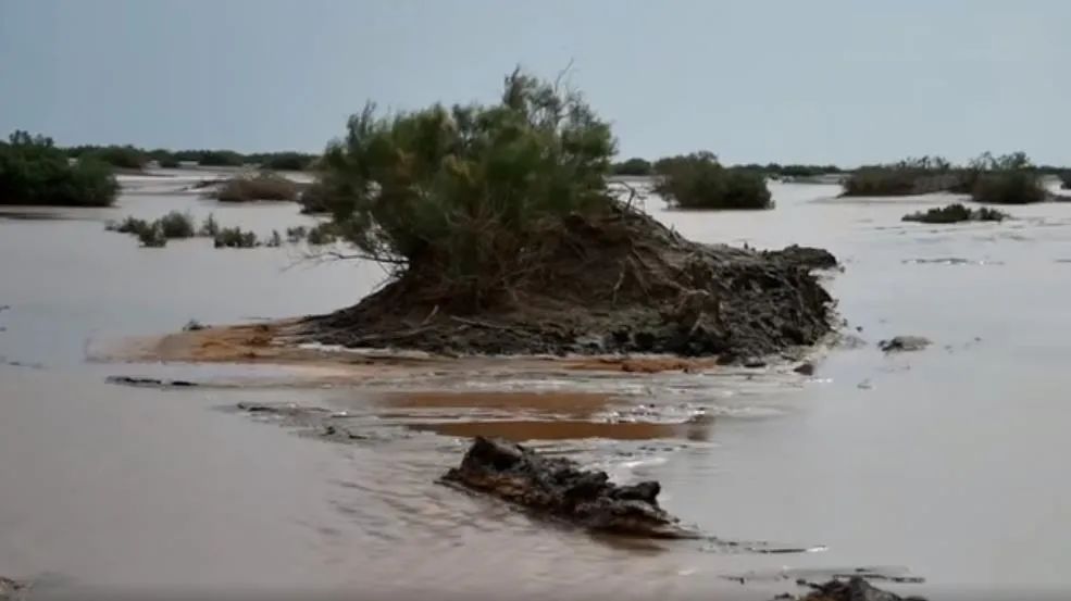 新疆的盐湖复活了吗,死海真实现状