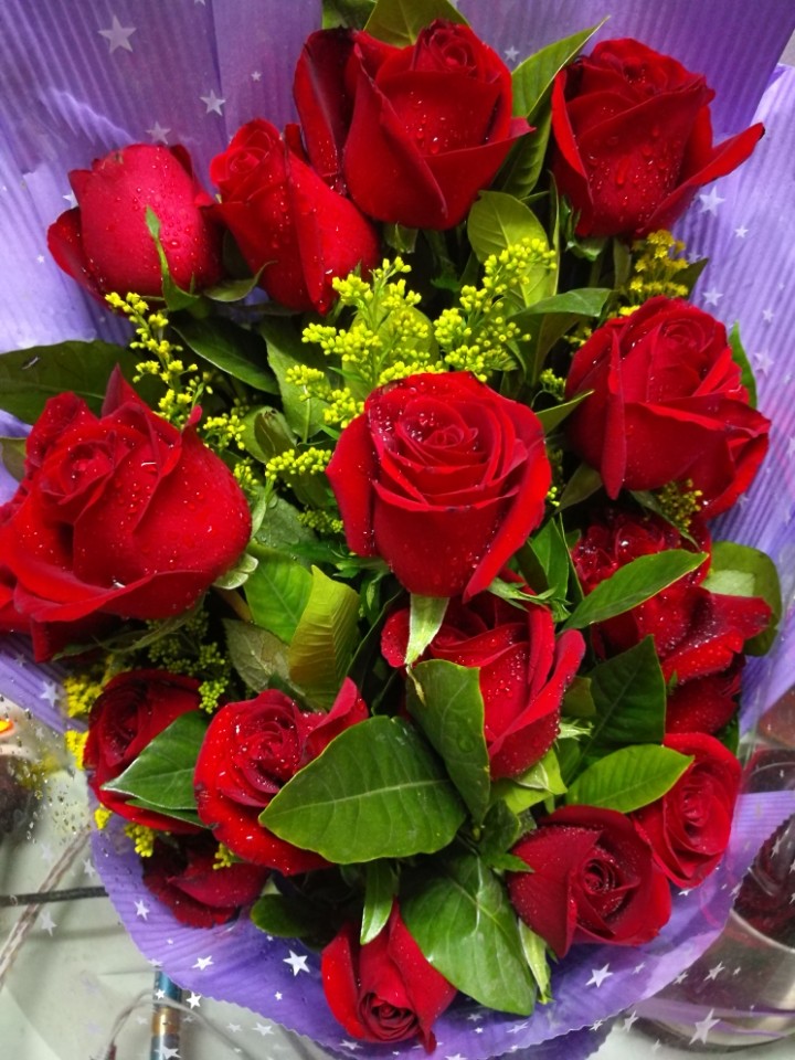 象征爱情的花和花语,什么花的花语是爱而不得的爱情