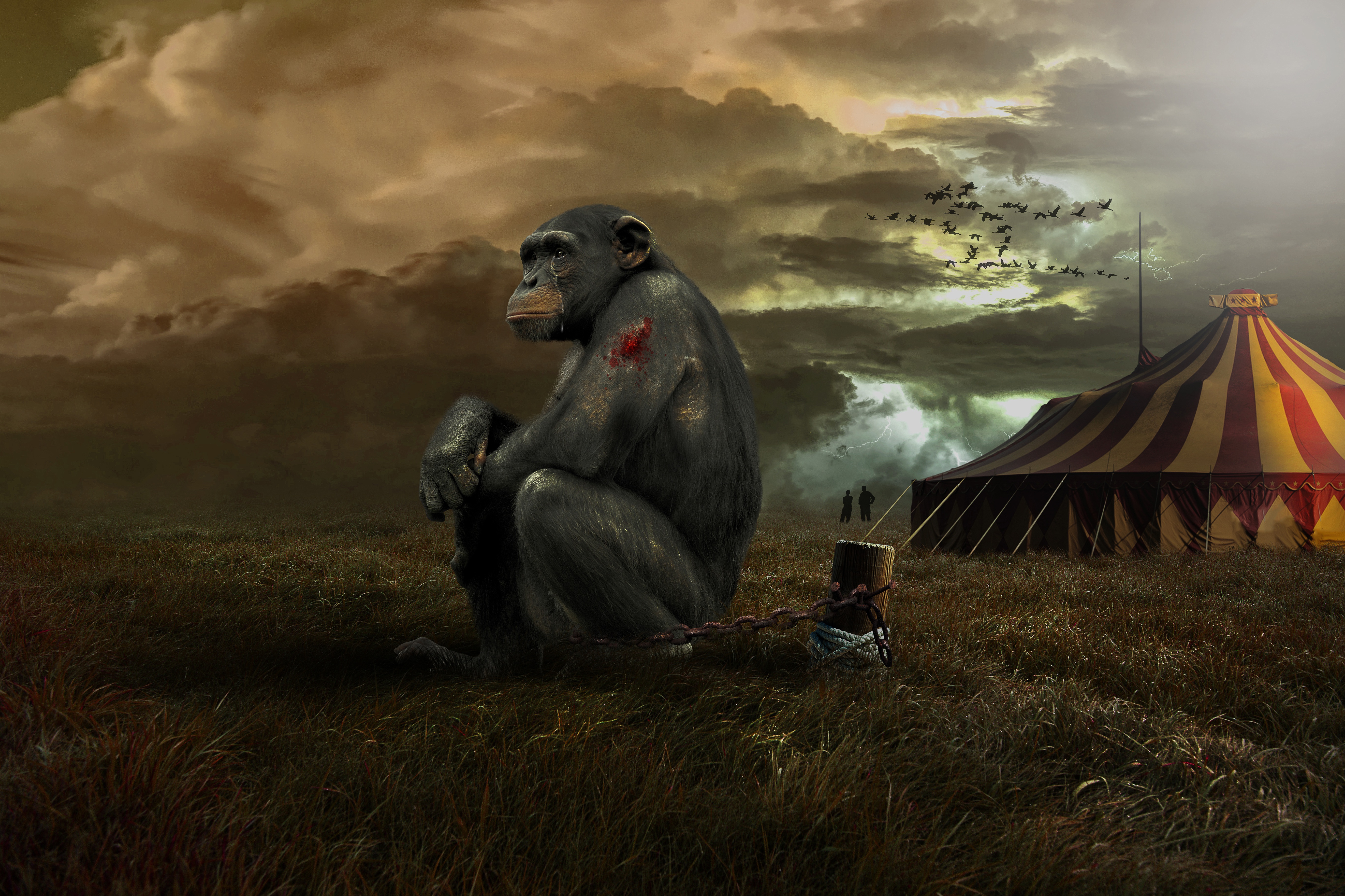 艾滋病病毒暴露后预防指南2020,艾滋病安全套推广方案