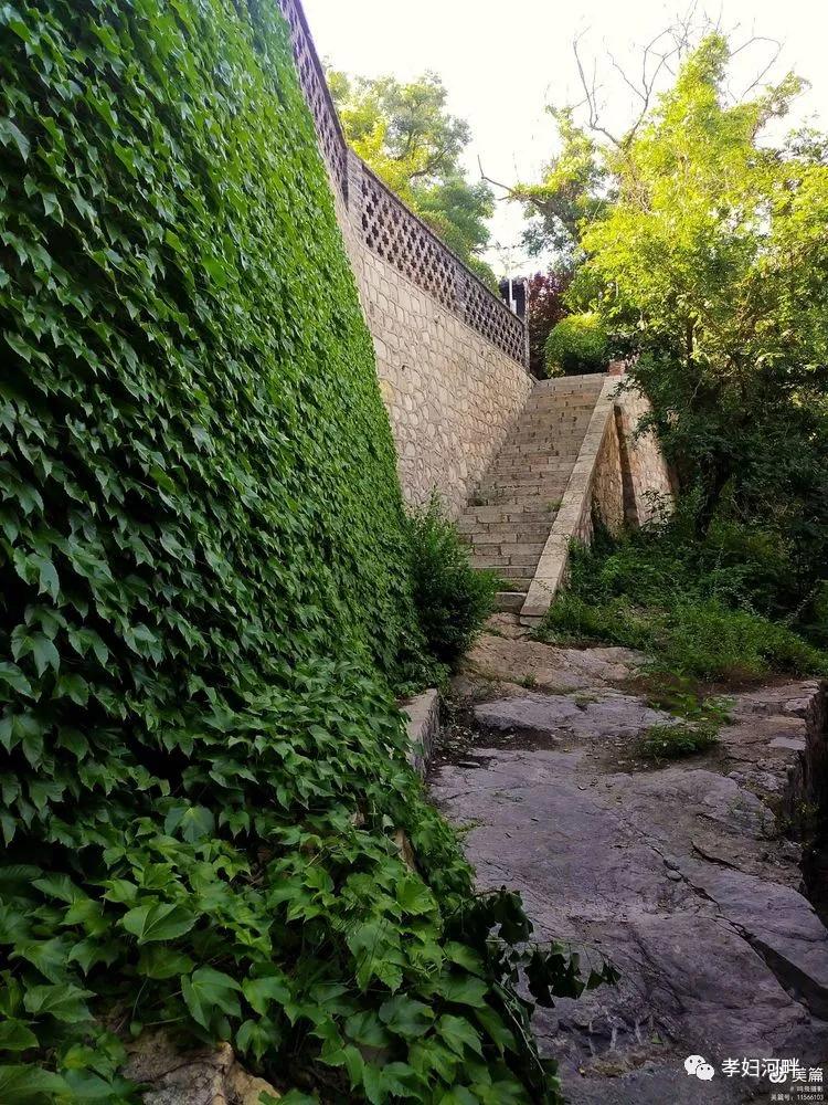 博山初夏风景图片,在博山公园藏着独特的宁静