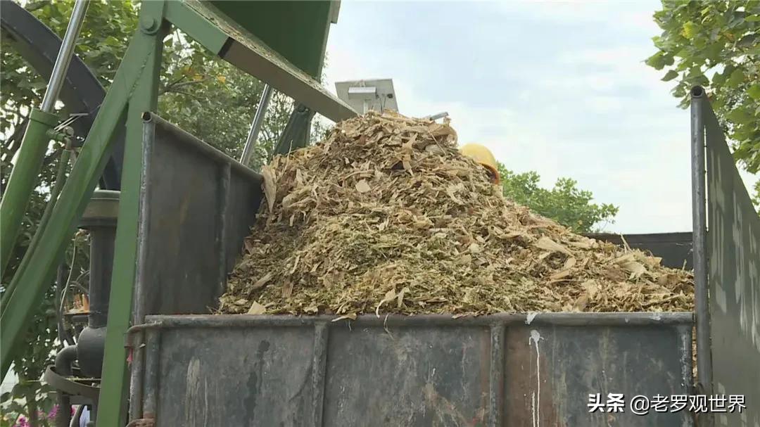 秸秆变废为宝促增收,我为群众办实事捡垃圾美篇