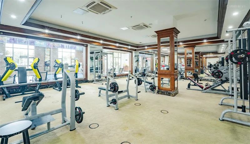 ibfa青少儿体适能证书含金量,ibfa国际青少儿体适能等级考评