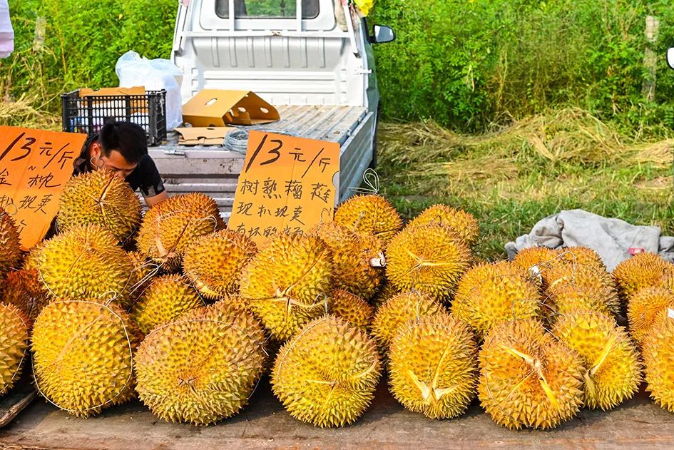 满满的烟火气逛大集真好玩,最值得逛的大集