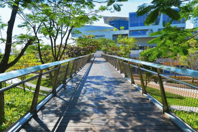 深圳不可错过的游玩地方,2022早春深圳踏青好去处