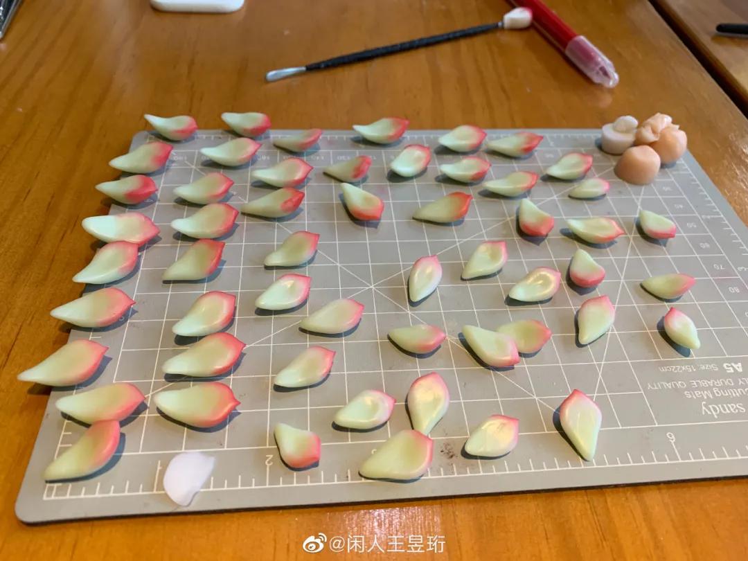 王昱珩上学经历,清华毕业的王昱珩