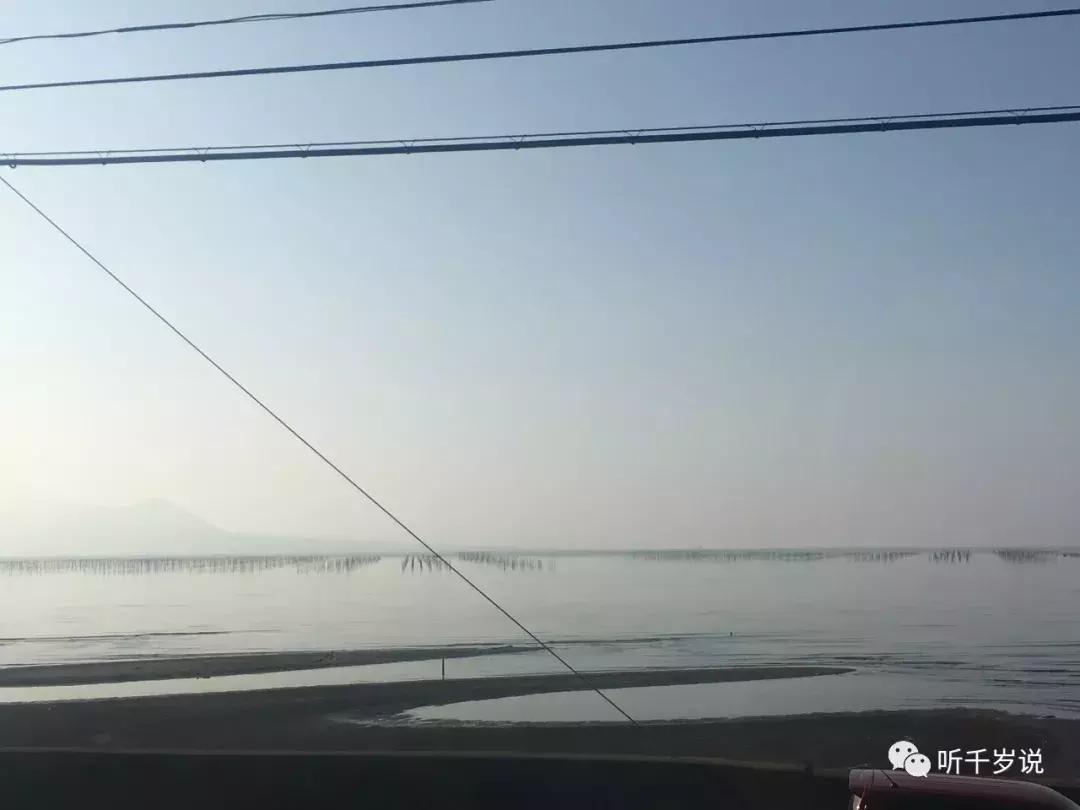 日本东京熊本熊,日本熊本游