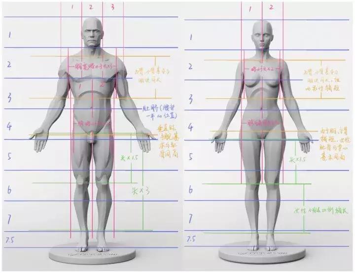 人体动作怎么画才能自然,人体比例及动态怎么画