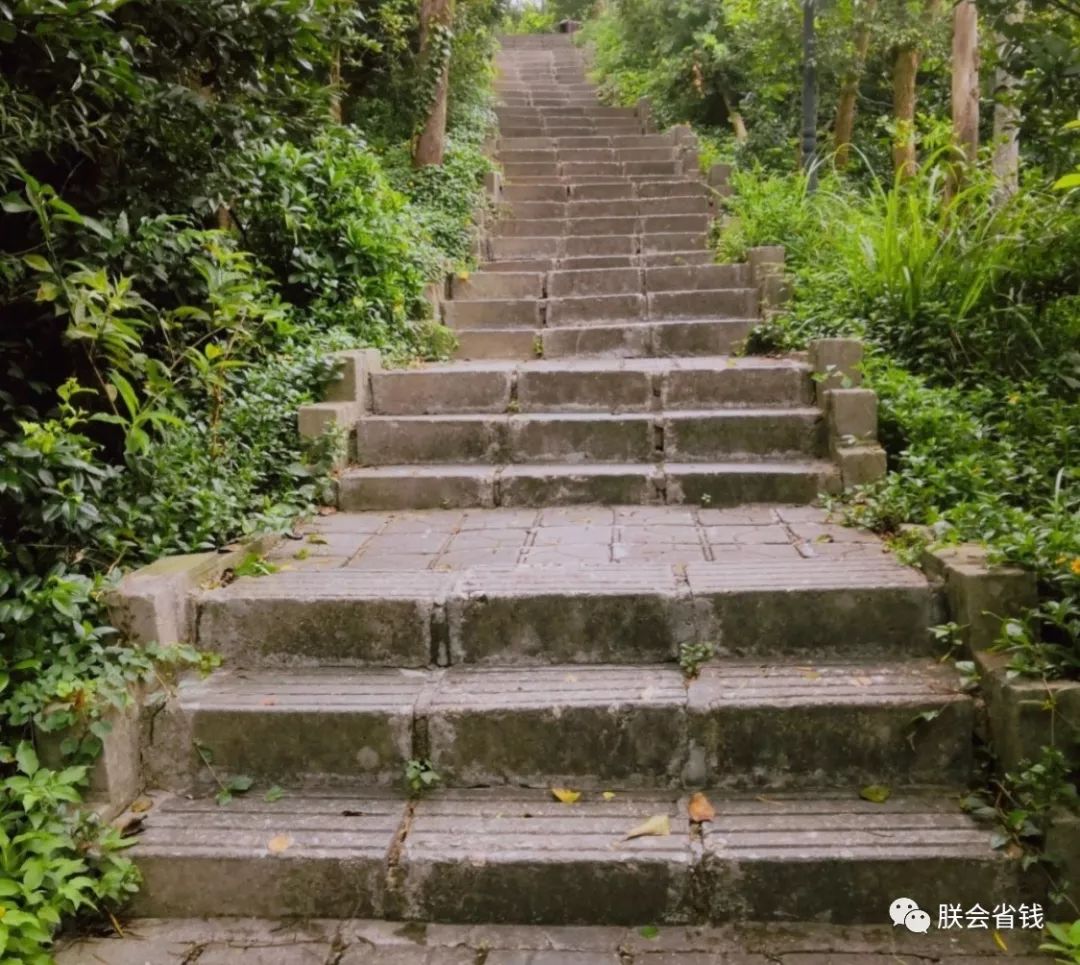 深圳一日游必去的地方免费,深圳周末自驾一日游