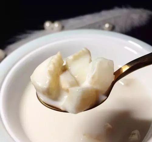 超级嫩滑的牛奶花胶冻,营养即食花胶奶冻