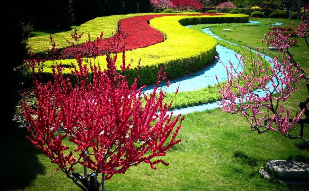 四月发生的事,东城发生的事