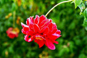 有深意的个性签名句句经典,个性签名经典语录精辟的短句