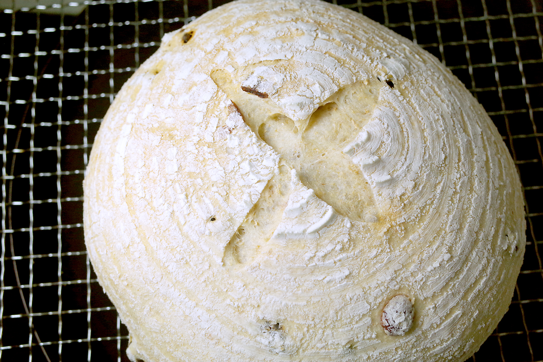 哪种酵母不能买,如果没有酵母该怎么办