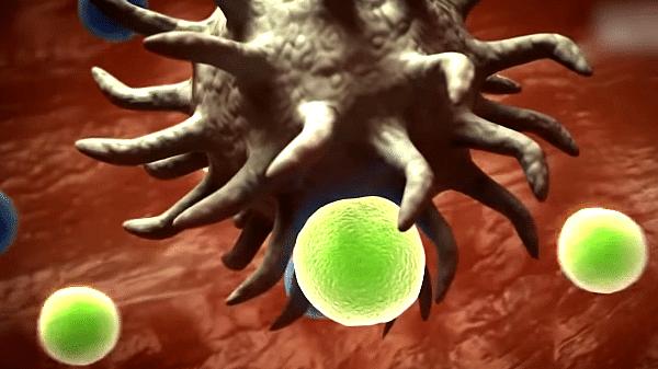 为什么蝙蝠这么毒,蝙蝠为什么有毒却自己不中毒