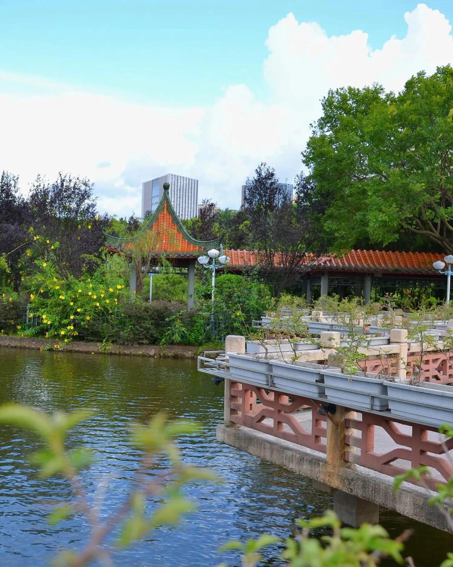 深圳免费公园哪里最好啊,深圳十大免费公园景点大全