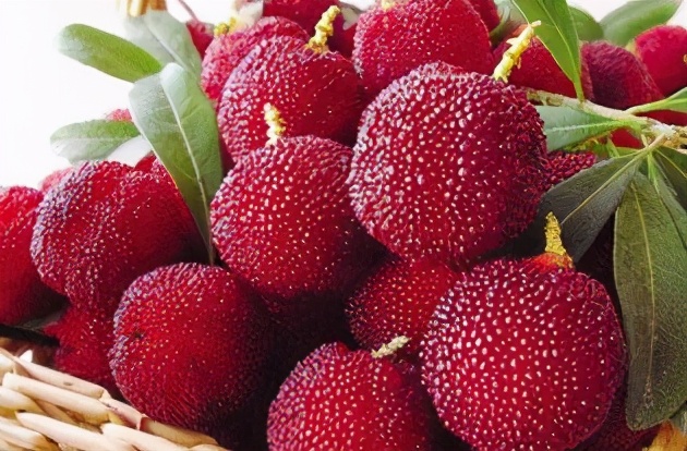 怀孕后口水吐个不停什么时候结束,怀孕初期吐口水到怀疑人生