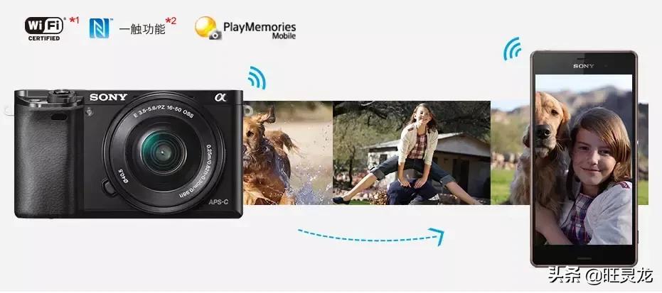 索尼alpha6000aps-c微单,索尼微单a6000黑色小框