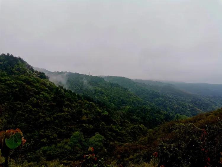 华容山水苑别墅100万,华容秀丽山水风景区
