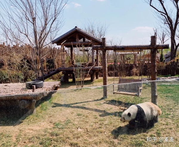 野生动物园长隆游玩攻略,野生动物园长隆攻略图片