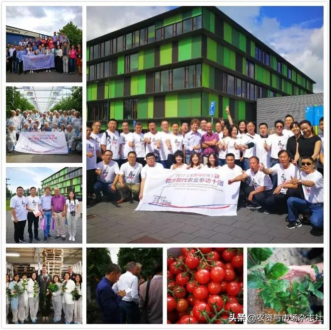 日本农业成功的主要经验,中国和日本农业差距50年