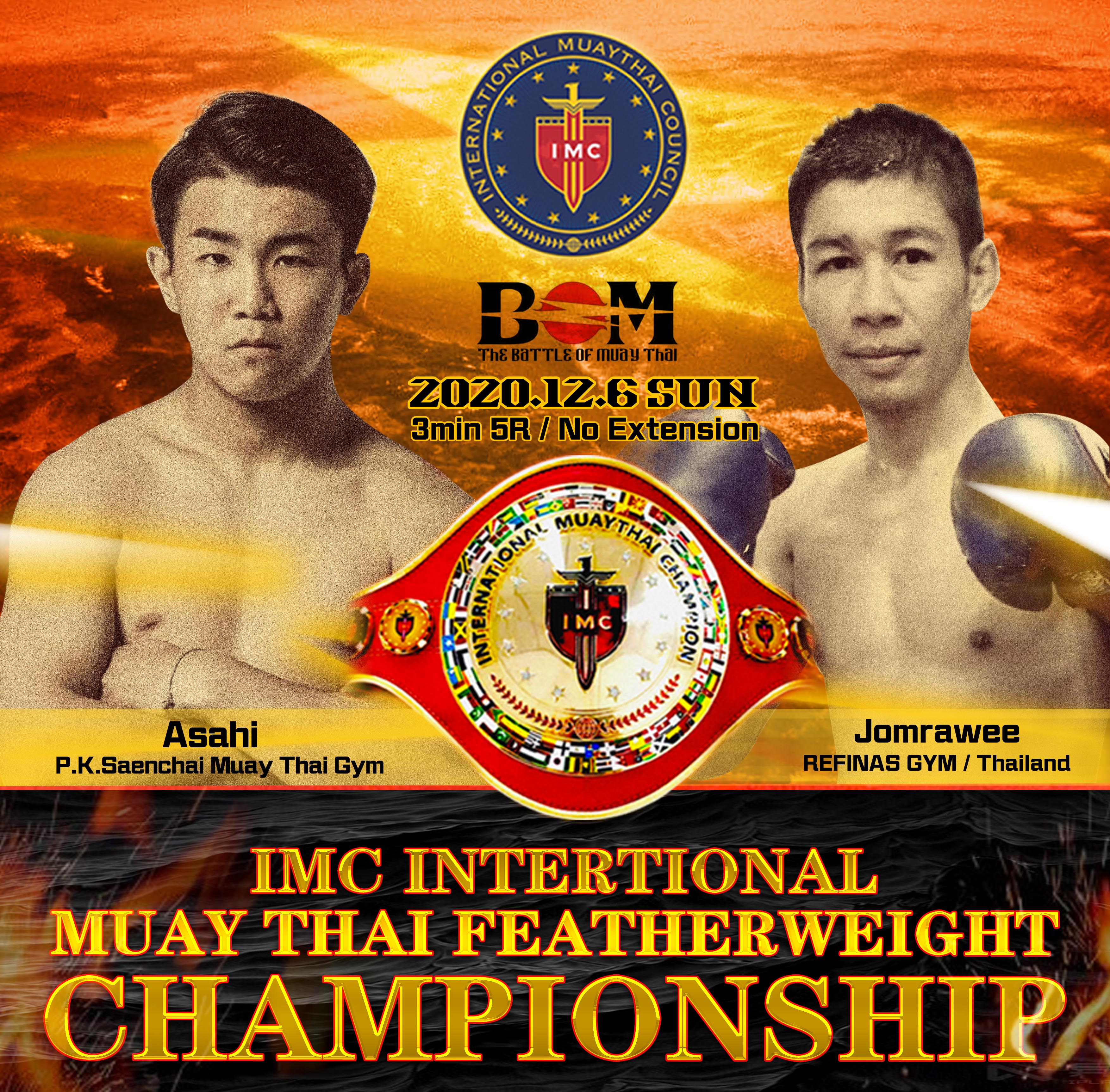 世界泰拳理事会证书,国际泰拳理事会世界冠军