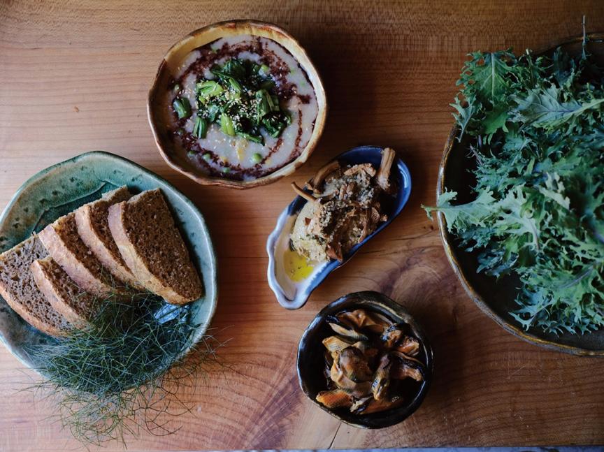 旅居生活攻略,旅居生活最适合的城市