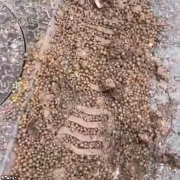 法国网红把吸水珠倒在浴缸里,法国网红泡泡球堵下水道