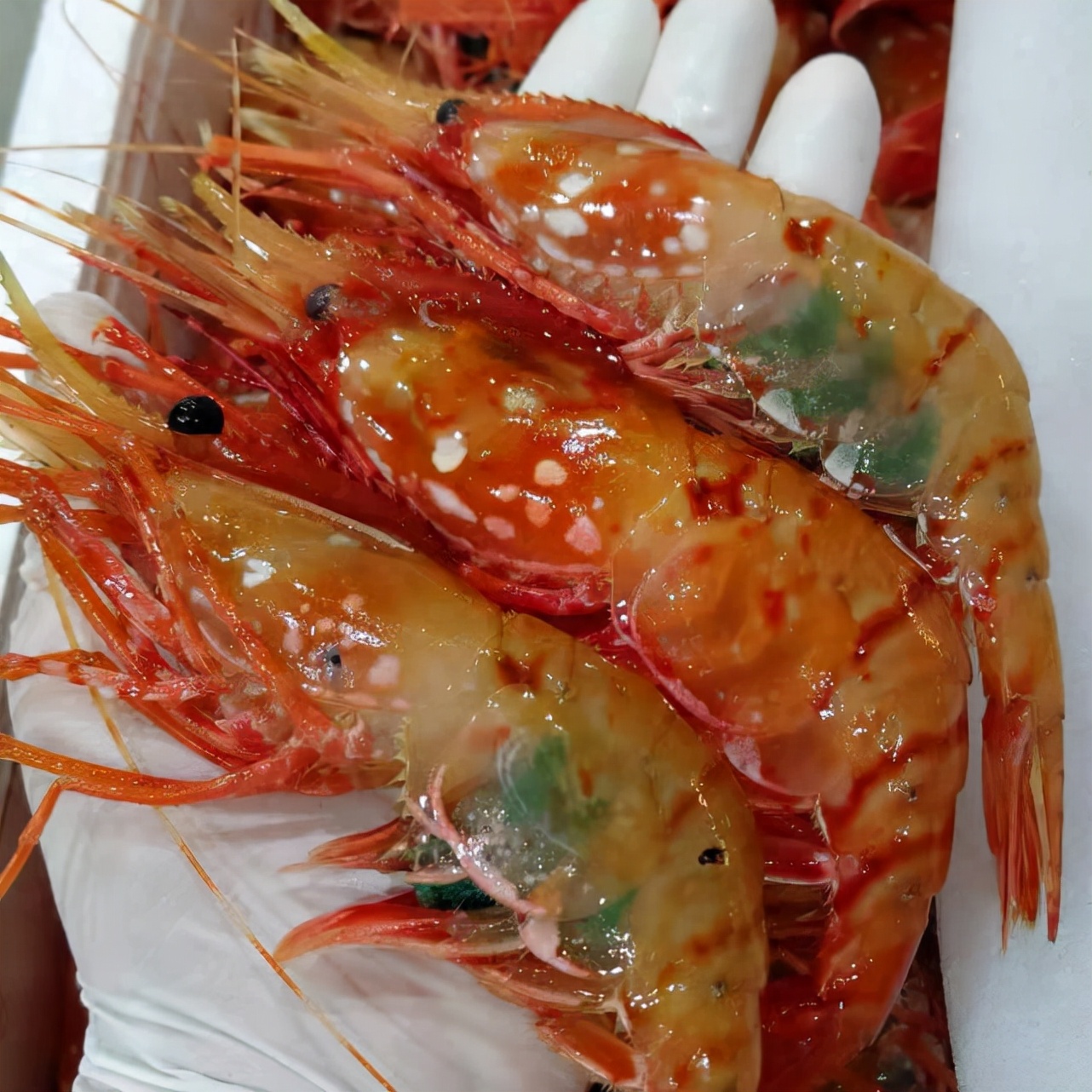 男子吃生腌海鲜,男子吃生虾