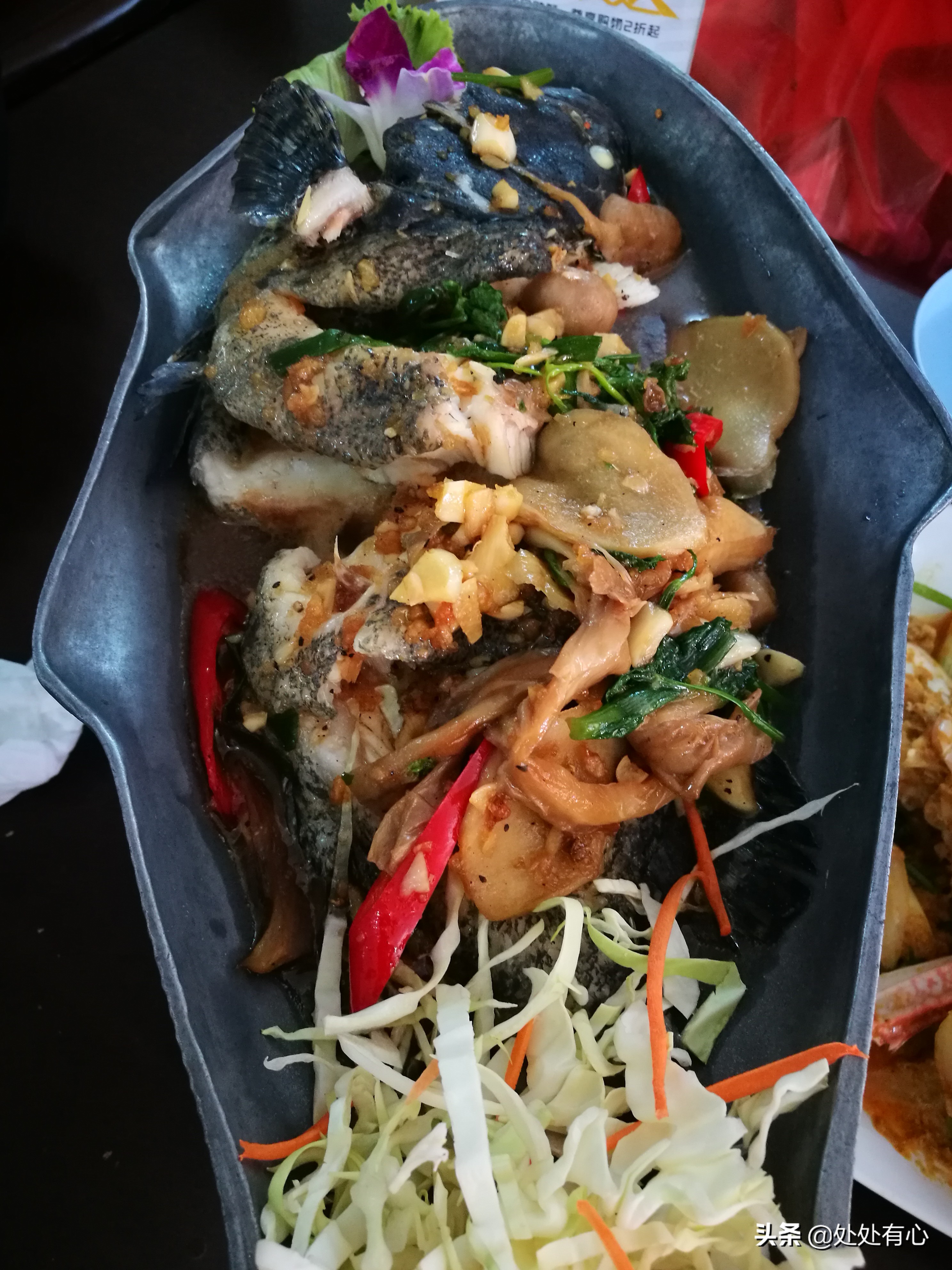 刚到泰国旅游注意事项,刚从泰国回来马上又办理旅游签证