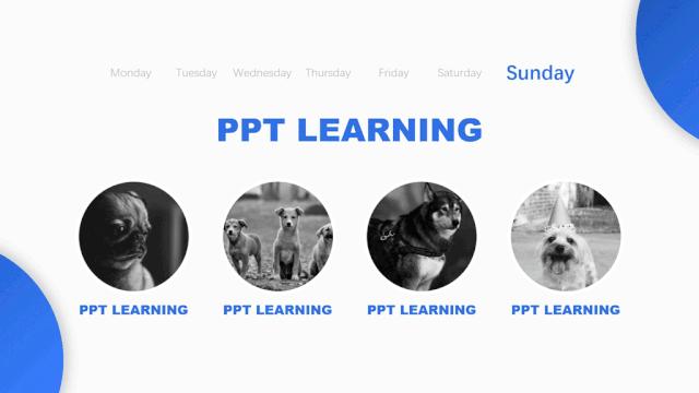 ppt中对齐原则中要对齐哪些要素,一分钟学会ppt多图对齐