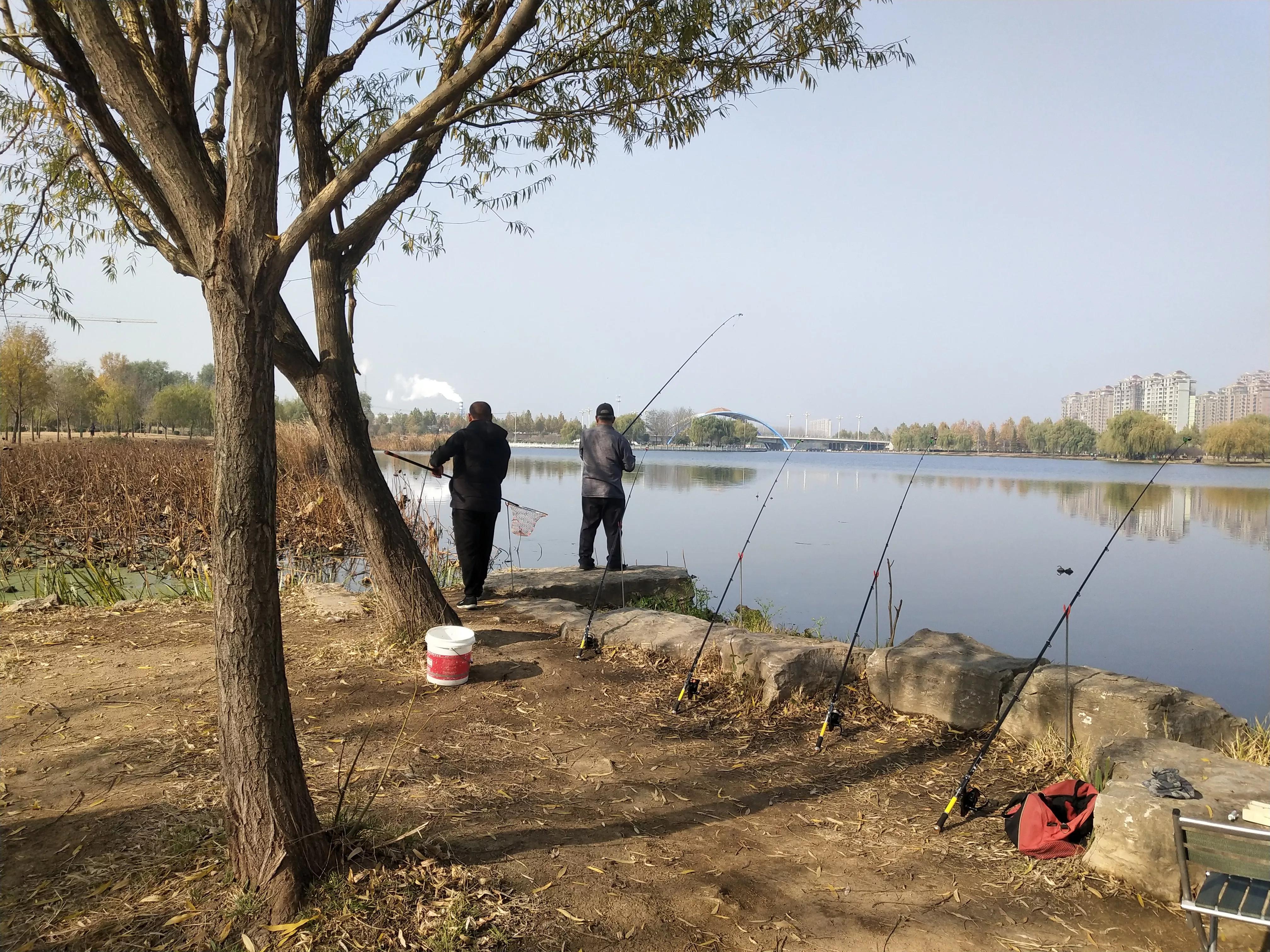 为什么众人对钓鱼有另类的看法,很多人对海竿钓法不屑一顾