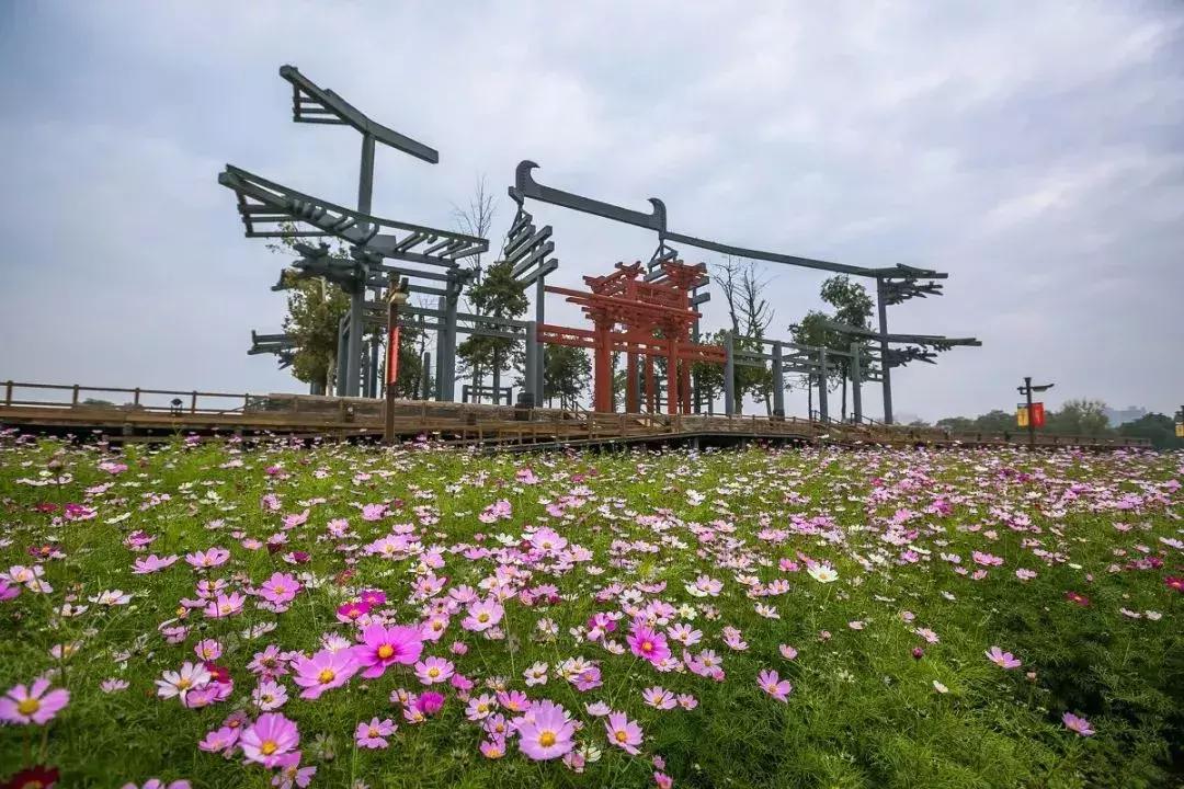 大明宫国家遗址公园5月份,大明宫遗址公园今天新闻