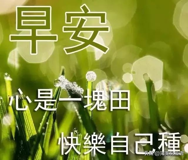 最新的早上好问候祝福语动态图,早上好祝福语会动的早上好图片