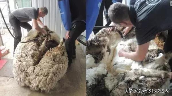 越贵的口红质量越好吗,几十块钱的大牌口红是真的吗