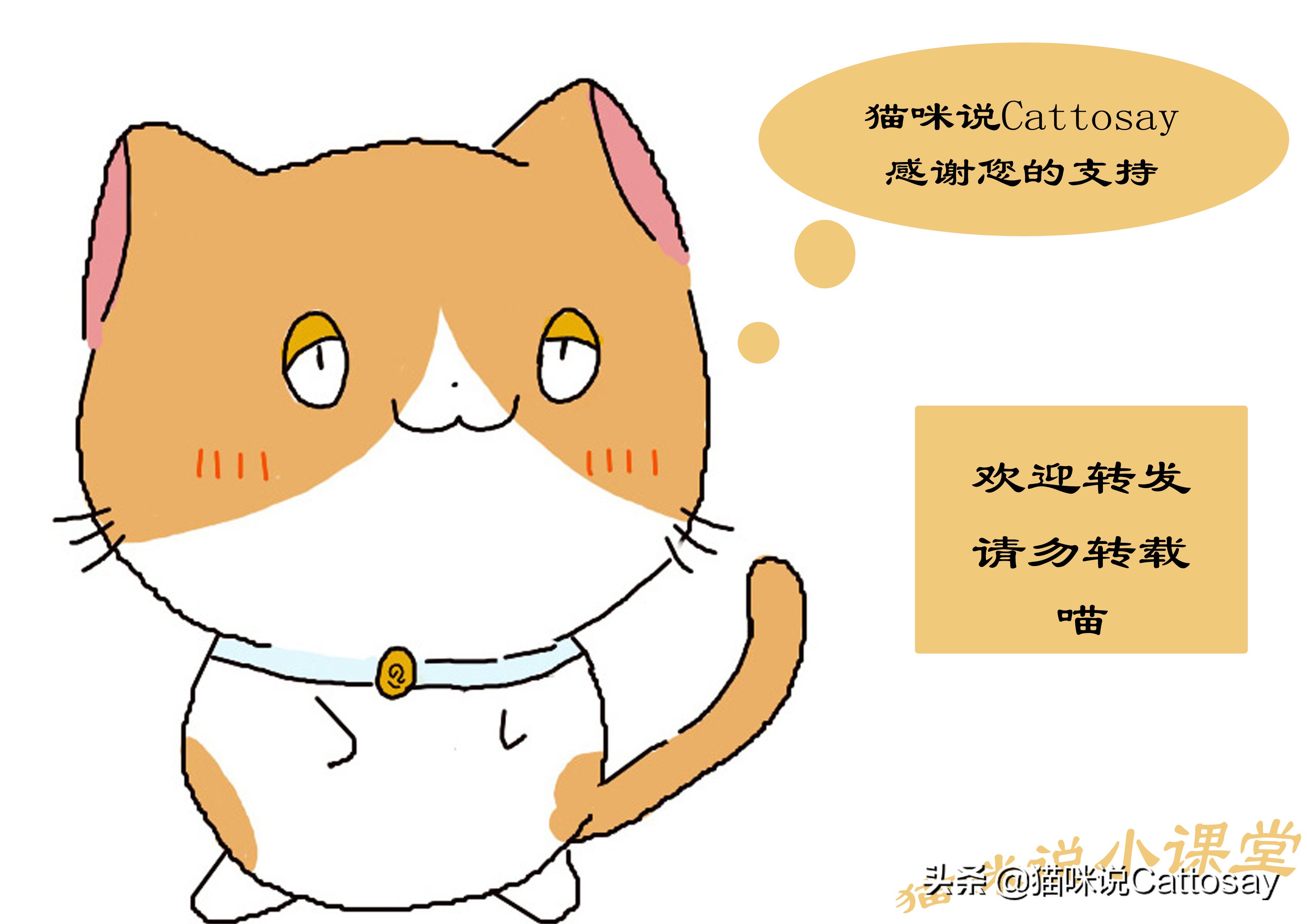 怎么训练猫咪才会让猫咪说话,夸猫怎么夸