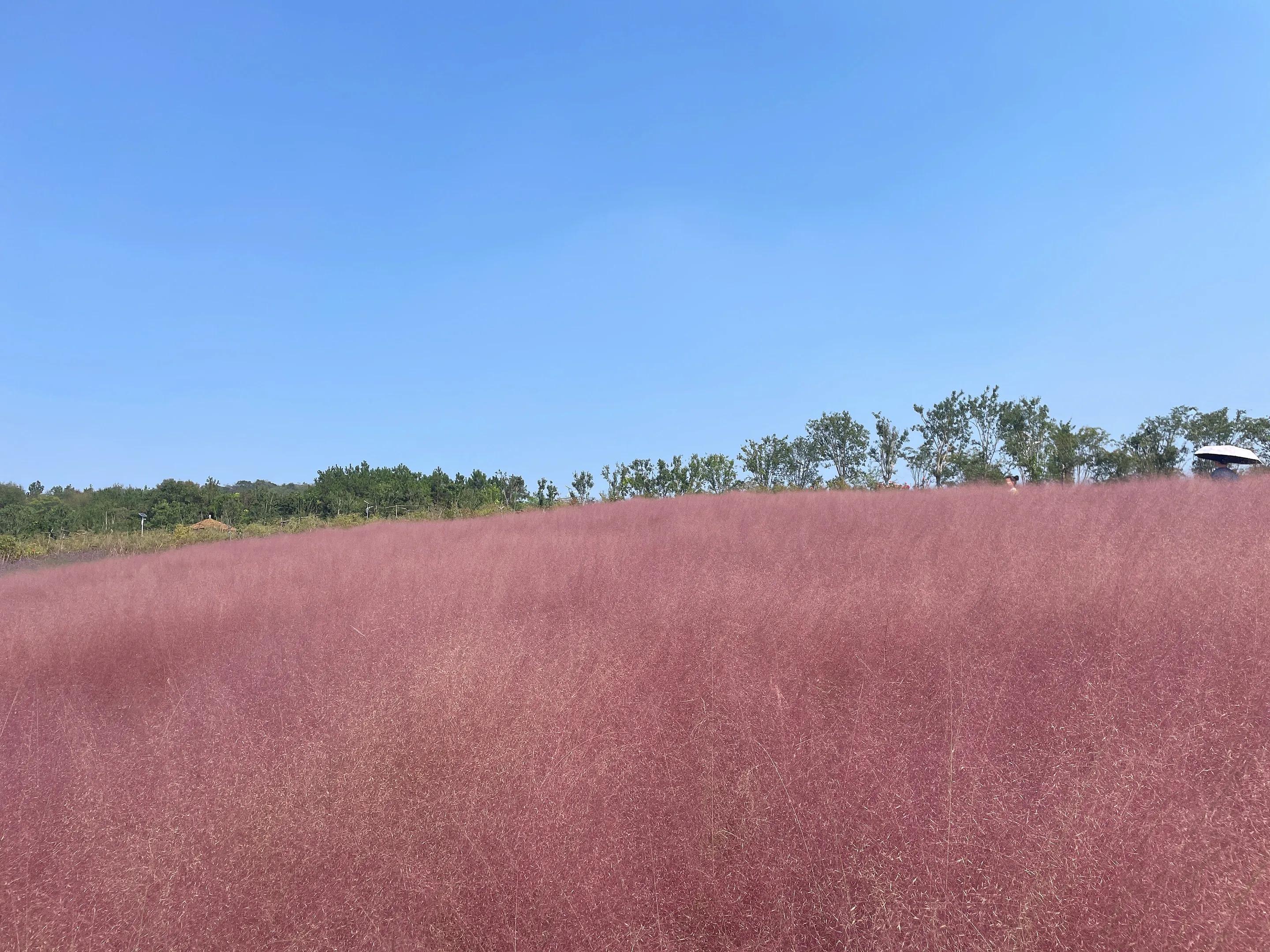 荆门圣境山鹿岛,荆门圣境山风景区攻略