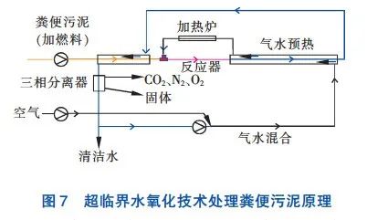 一人一年就产生近300斤粪便，全球70亿人的屎都去哪儿了？