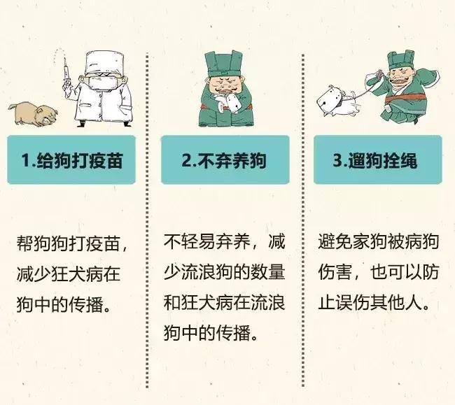 被猫狗咬伤如何正确处理,被猫狗咬伤十天了还能打针吗