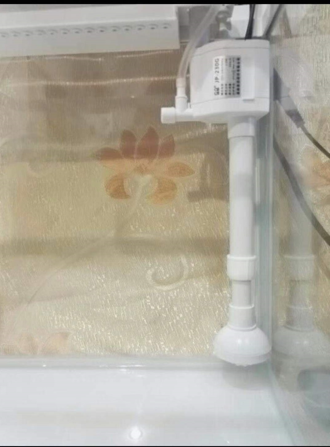 小型观赏鱼鱼缸,小型观赏鱼红箭鱼用什么鱼缸