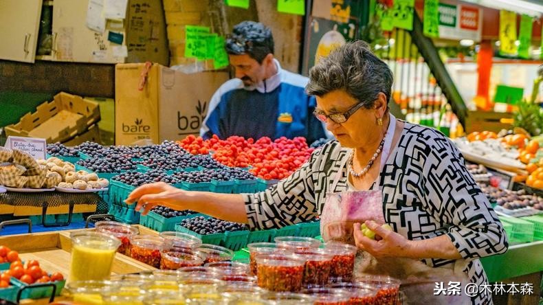 加拿大旅行日记,多伦多最佳生活日记