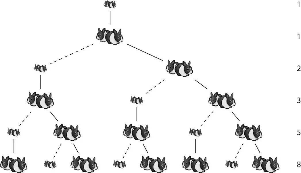 十进制在欧洲的推广与普及,是促进欧洲数学大发展的重要因素