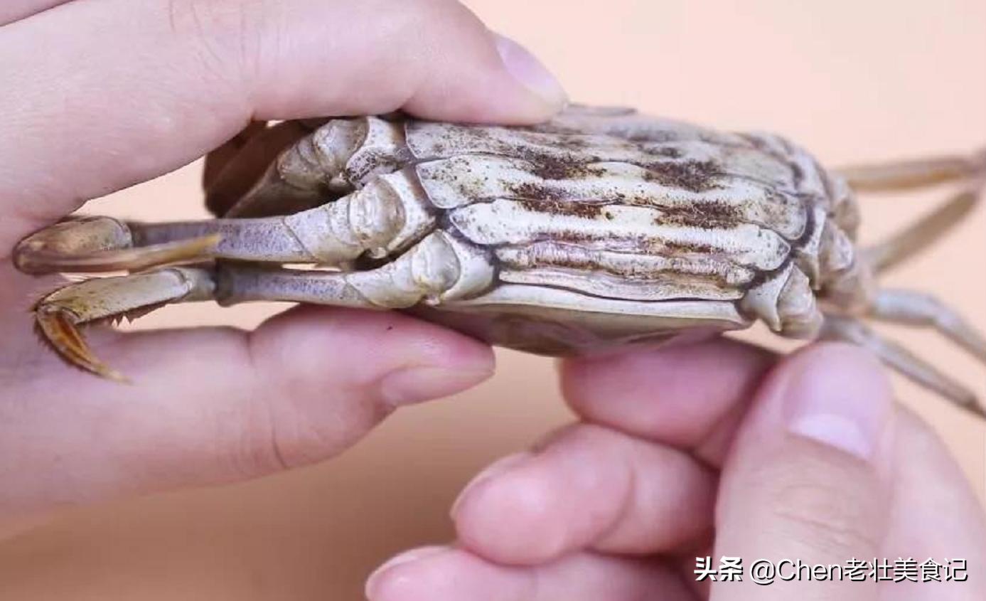 大闸蟹挑选小窍门怎么挑螃蟹,螃蟹怎么挑记住这几点你就是高手
