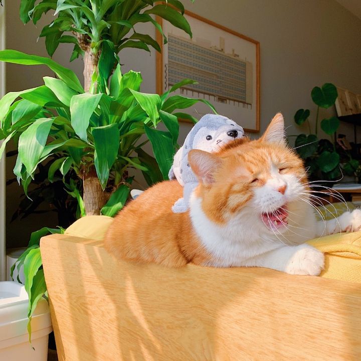 微信小程序社交平台,做微信小程序有前景吗