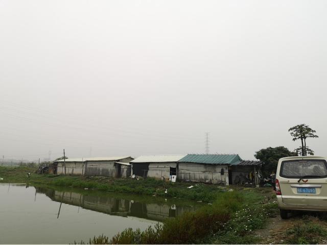 农村玉米秸秆窝棚,石棉瓦窝棚