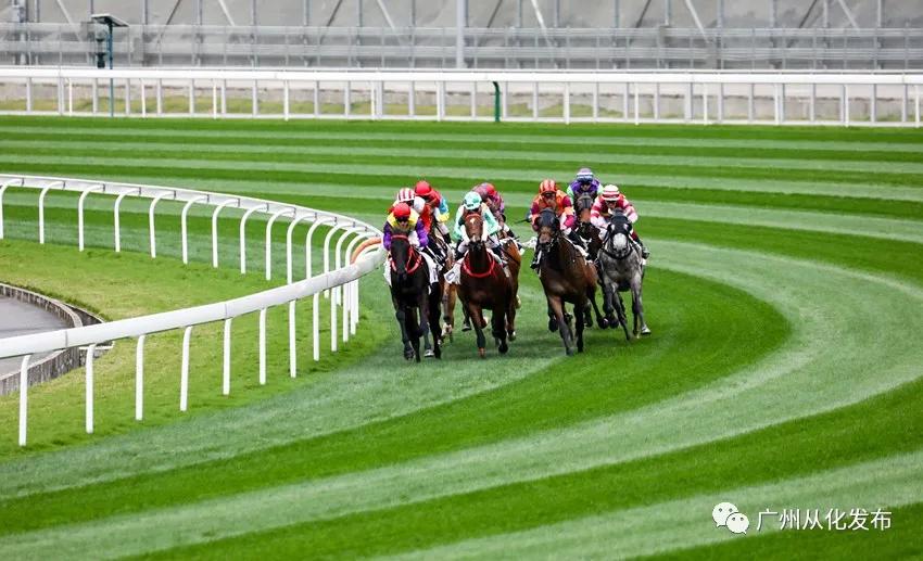 全国群众登山健身大会广州,2022全国登高健身大会