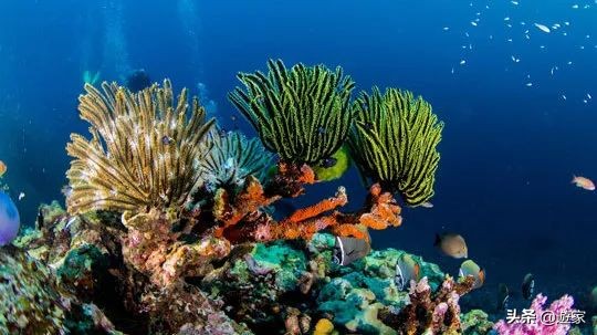 泰国看日落最好的地方,来泰国旅游景区