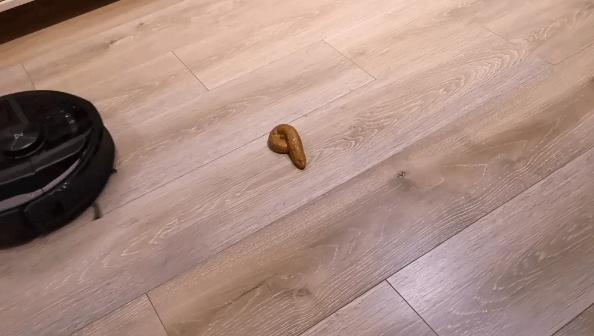 盘点前十名高颜值宝藏好物,10件宝藏好物推荐