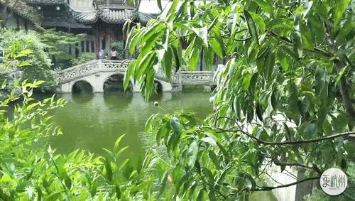 为什么中国人痴迷买房,中国人为何会对房子情有独钟